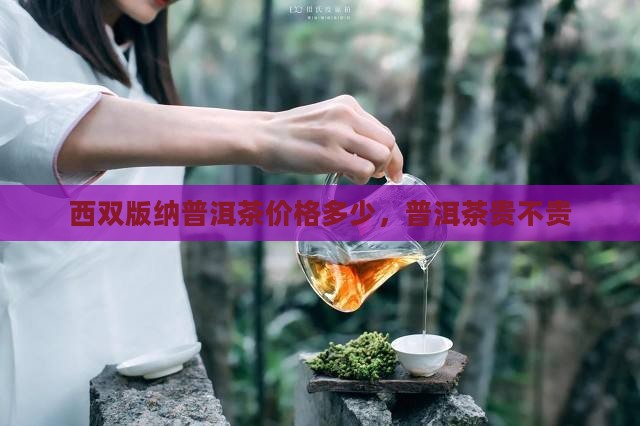 西双普洱茶贵不贵