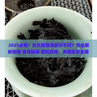 秋天晒普洱茶好不好