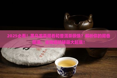 黑乌龙茶闻着和普洱茶很像
