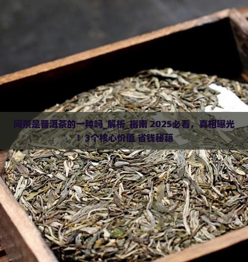 问茶是普洱茶的一种吗