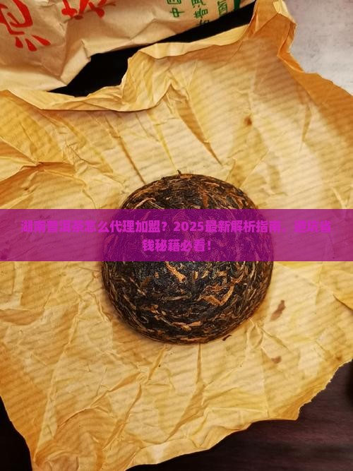 湖南普洱茶怎么代理加盟