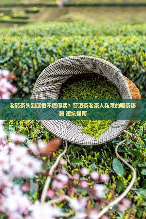 普洱茶老砖茶头