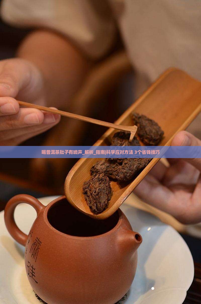 喝普洱茶肚子有响声