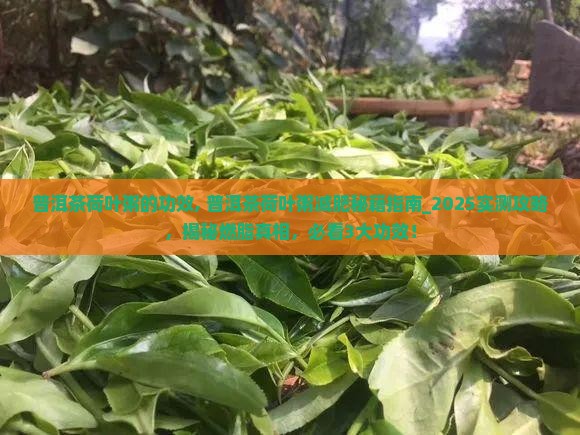 普洱茶荷叶粥的功效