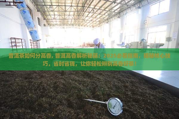 普洱茶如何分高香