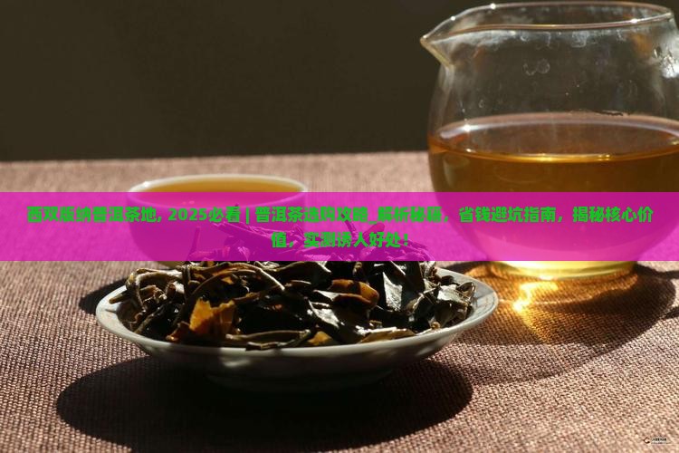 西双版纳普洱茶地