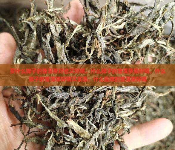 买什么牌子的普洱茶好些又好喝