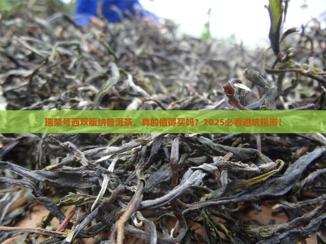 瑞荣号西双版纳普洱茶