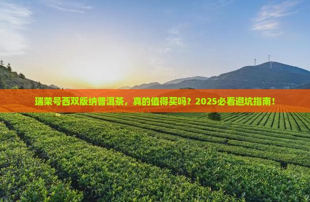 瑞荣号西双版纳普洱茶