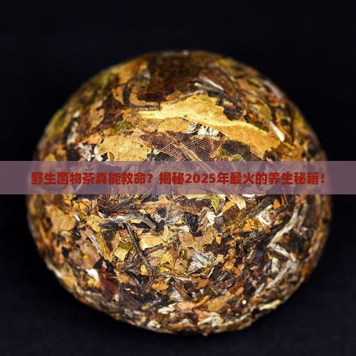 野生菌物茶的作用