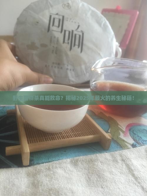 野生菌物茶的作用
