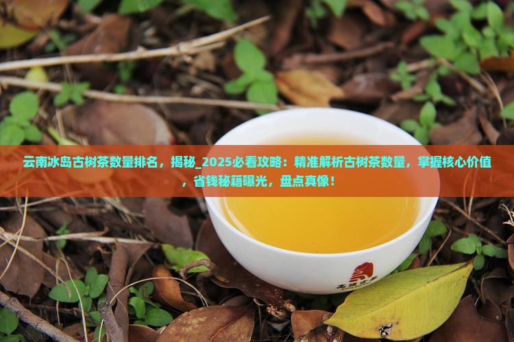 云南冰岛古树茶数量排名