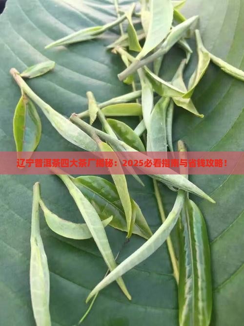 辽宁普洱茶四大茶厂