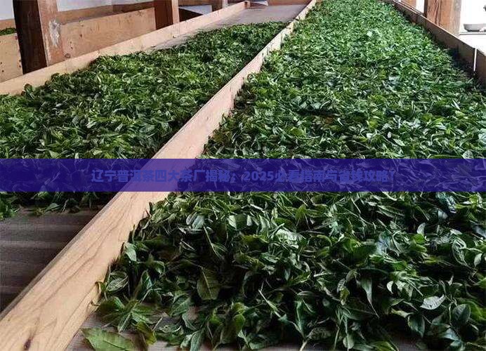 辽宁普洱茶四大茶厂