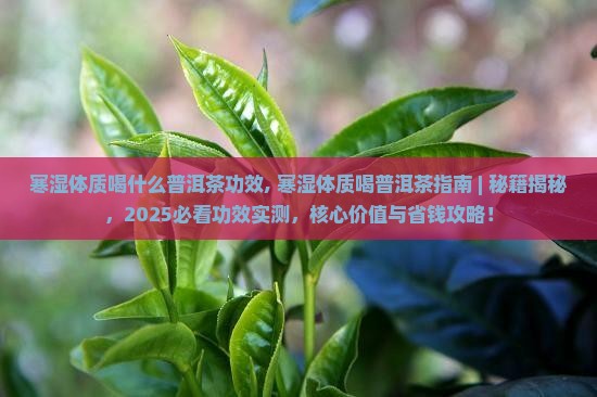 寒湿体质喝什么普洱茶功效