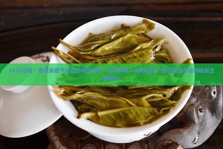 怎样喝普洱茶才香气浓壮