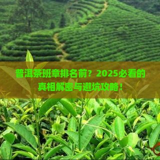 普洱茶班章排名前