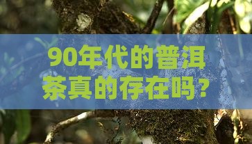 90年有没有普洱茶