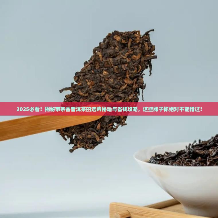 什么牌子带茶香普洱茶好