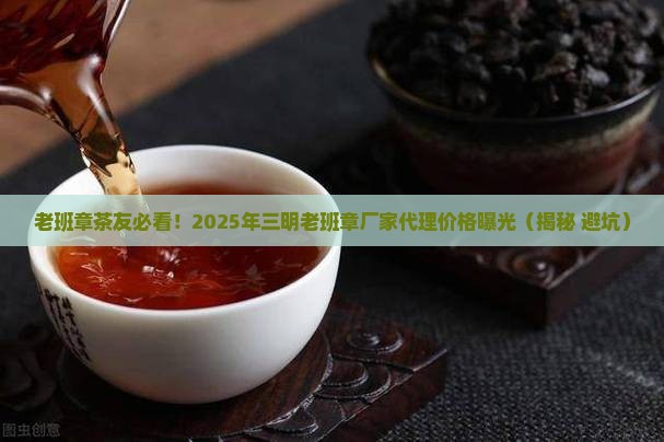 三明老班章厂家代理价格
