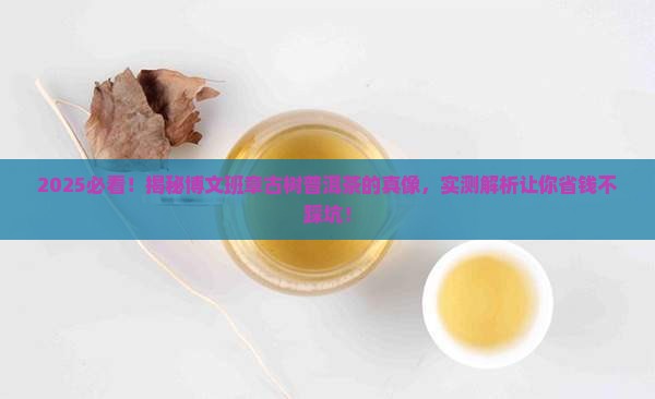 博文班章古树普洱茶
