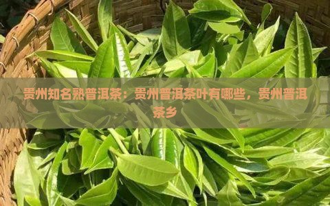 贵州知名熟普洱茶