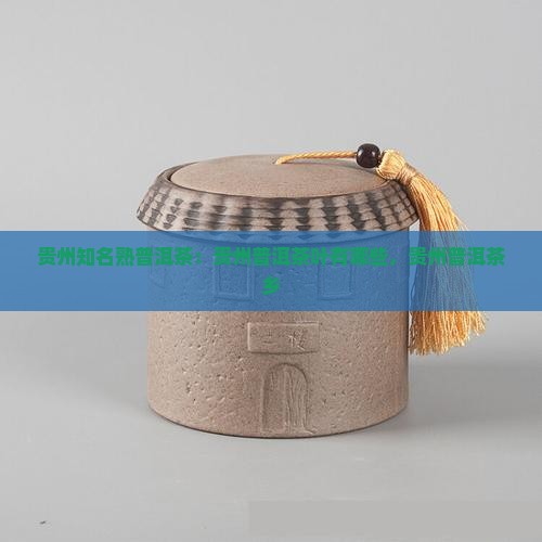 贵州知名熟普洱茶