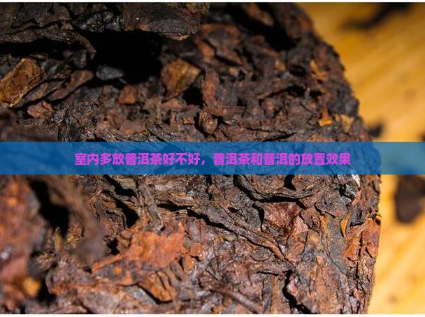 室内多放普洱茶好不好