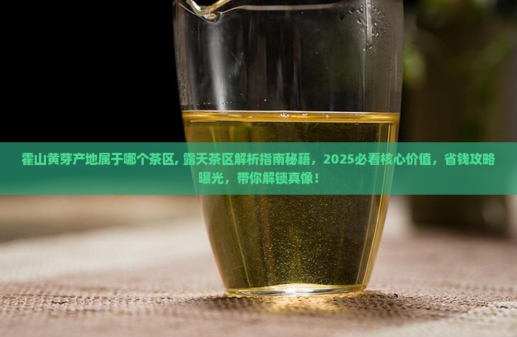 霍山黄芽产地属于哪个茶区