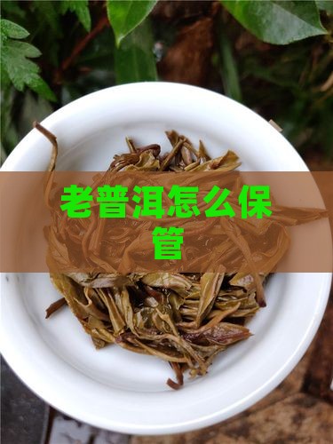 老普洱怎么保管