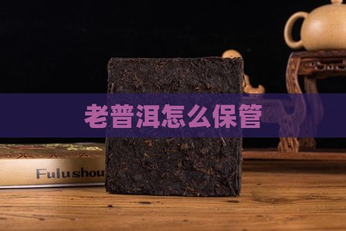 老普洱怎么保管