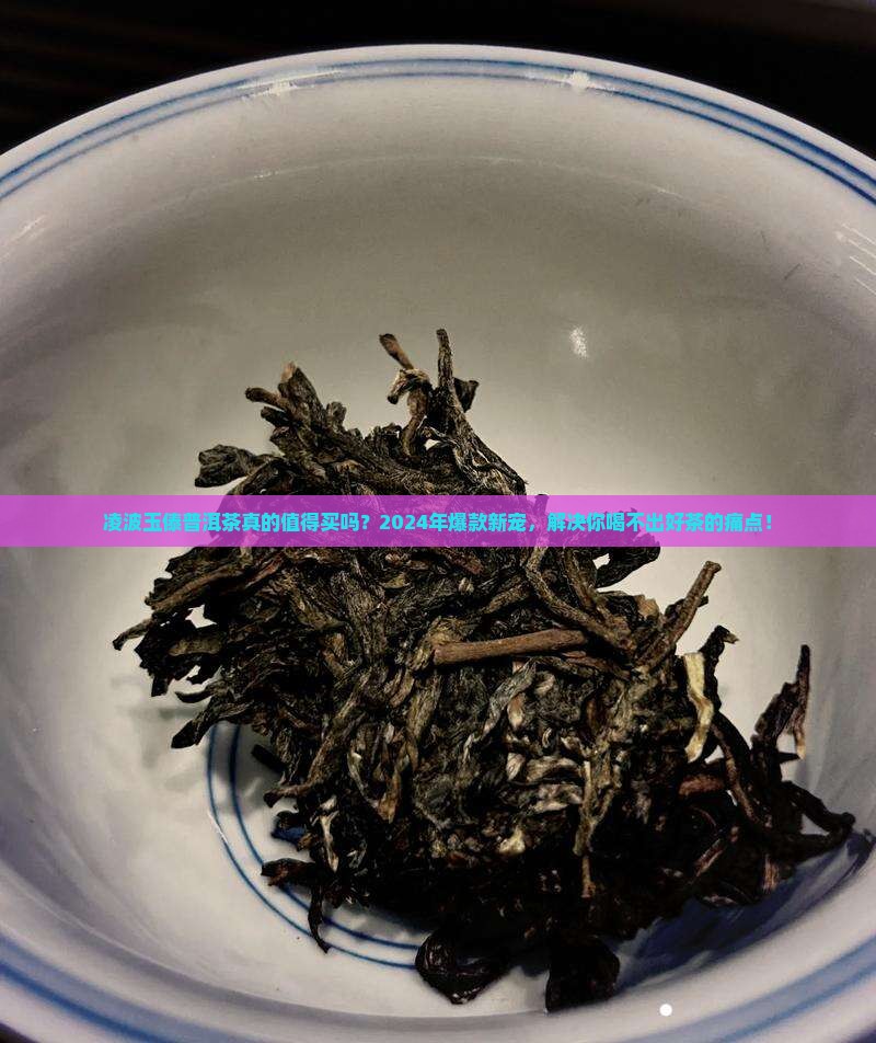 凌波玉傣普洱茶