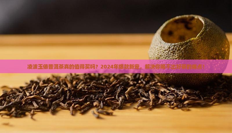 凌波玉傣普洱茶