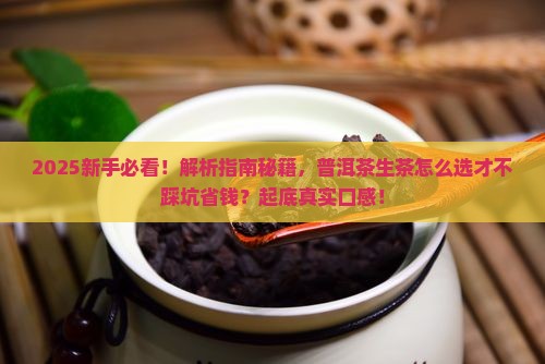 态与度普洱茶生茶