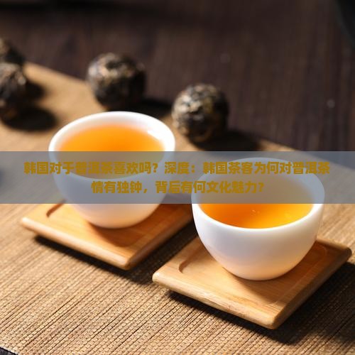 韩国对于普洱茶喜欢吗