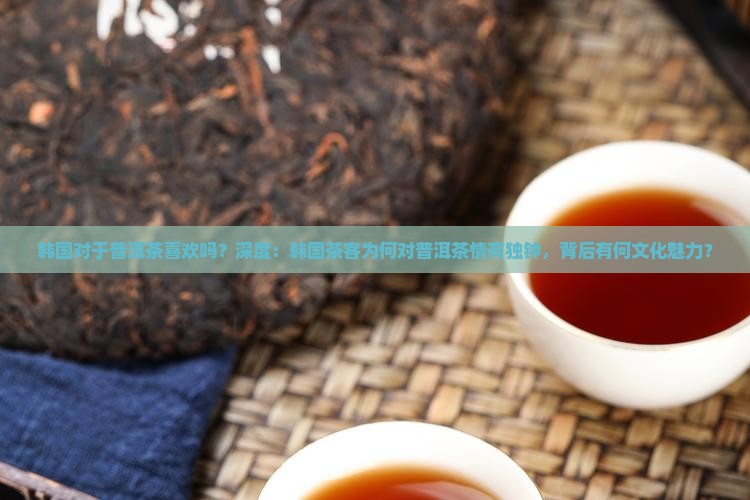 韩国对于普洱茶喜欢吗