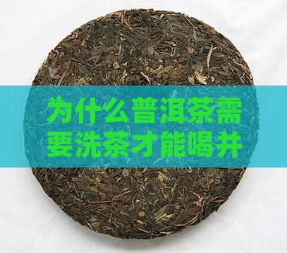 为什么普洱茶需要洗茶