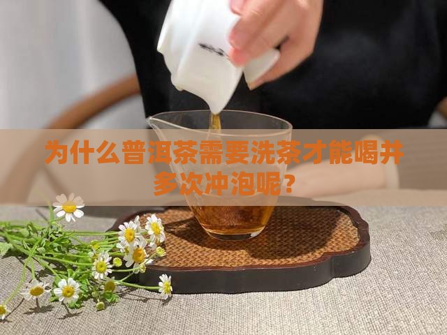 为什么普洱茶需要洗茶