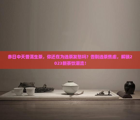 赤日中天普洱生茶