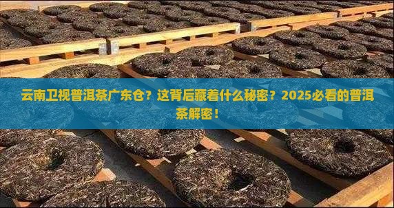 云南卫视普洱茶广东仓