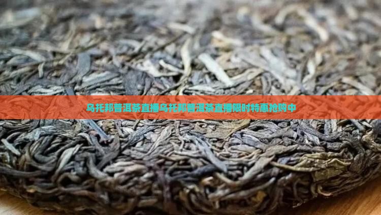 乌托邦普洱茶直播