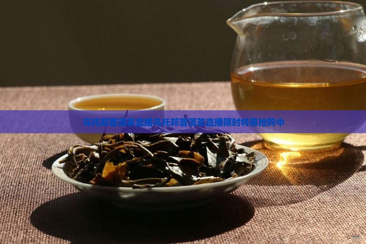 乌托邦普洱茶直播