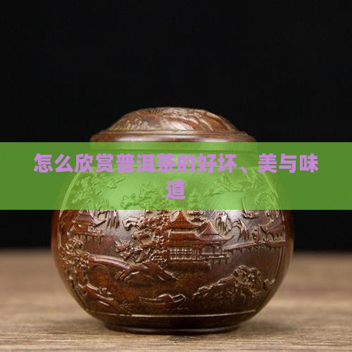怎么欣赏普洱茶
