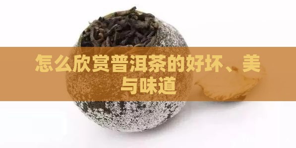 怎么欣赏普洱茶