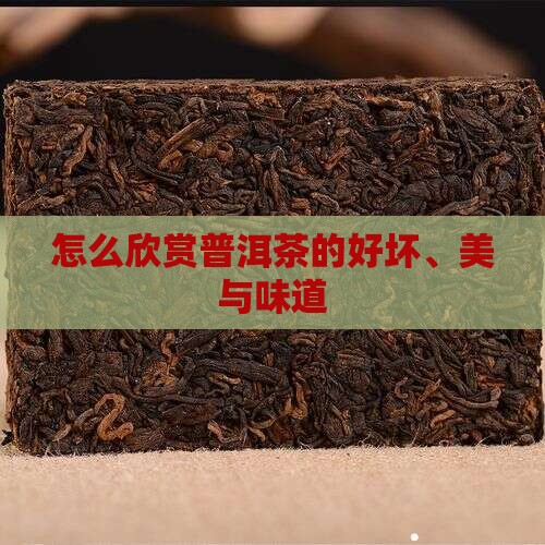怎么欣赏普洱茶