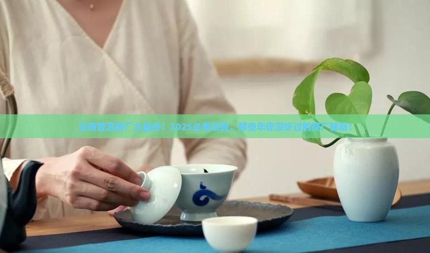 云南做普洱茶的茶厂有几家