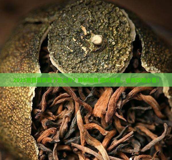 熟普洱茶霉了什么办