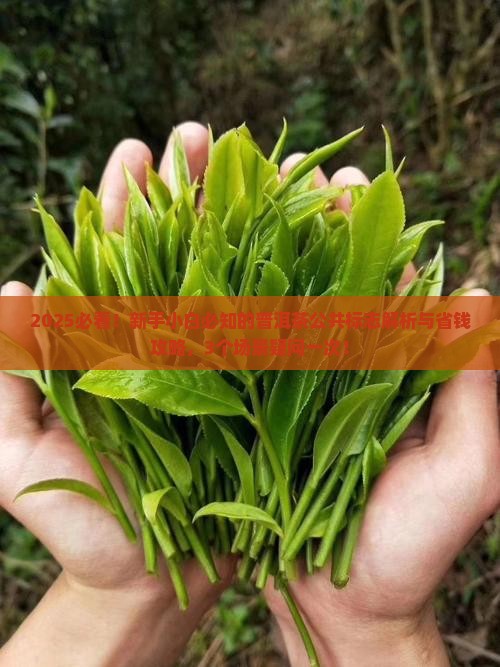 普洱茶公共标志