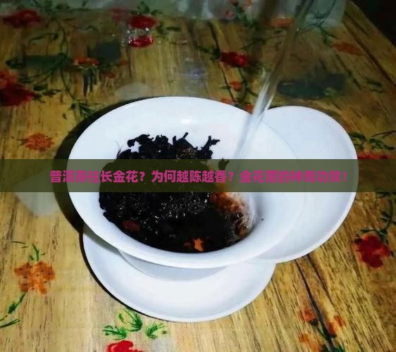 普洱茶柱长金花