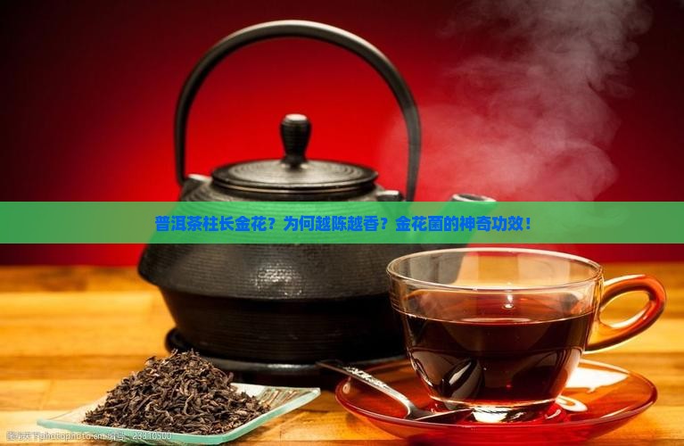 普洱茶柱长金花